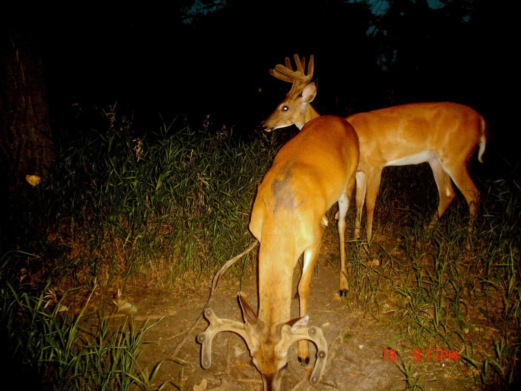 Terrys07-21-201221.jpg