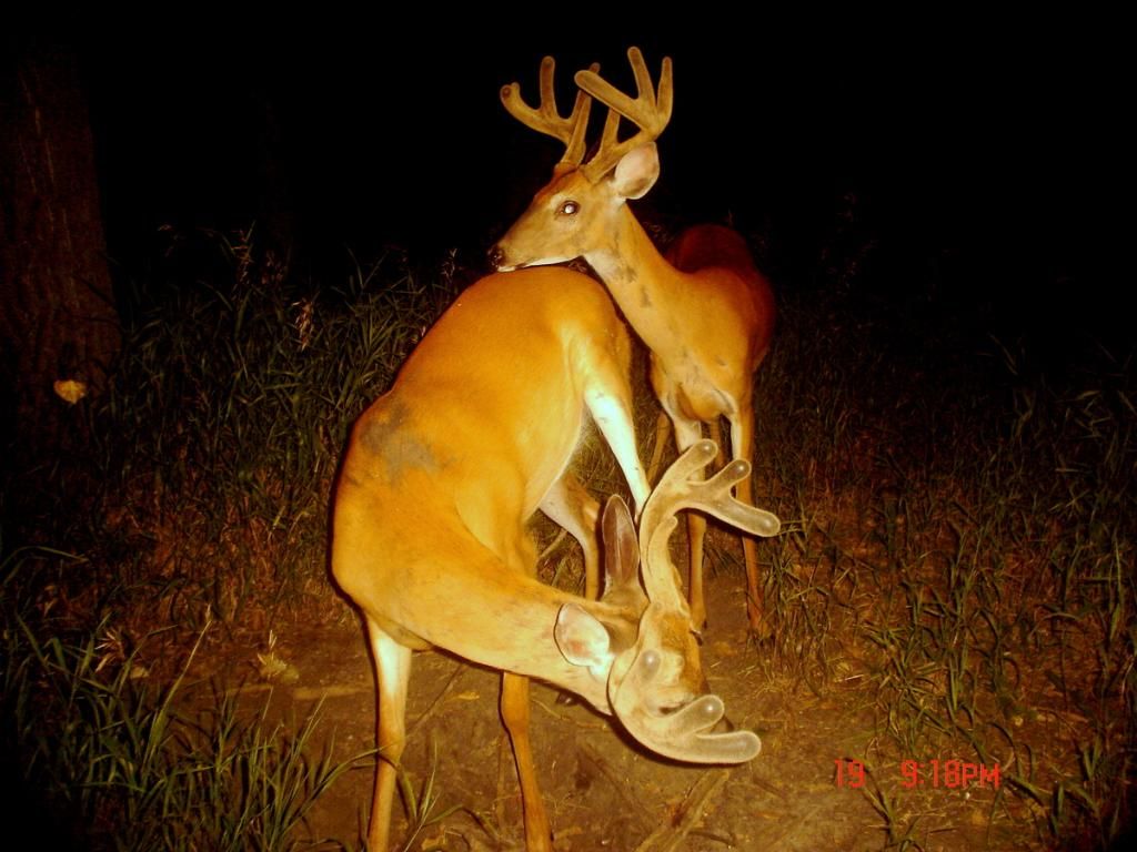 Terrys07-21-201227.jpg