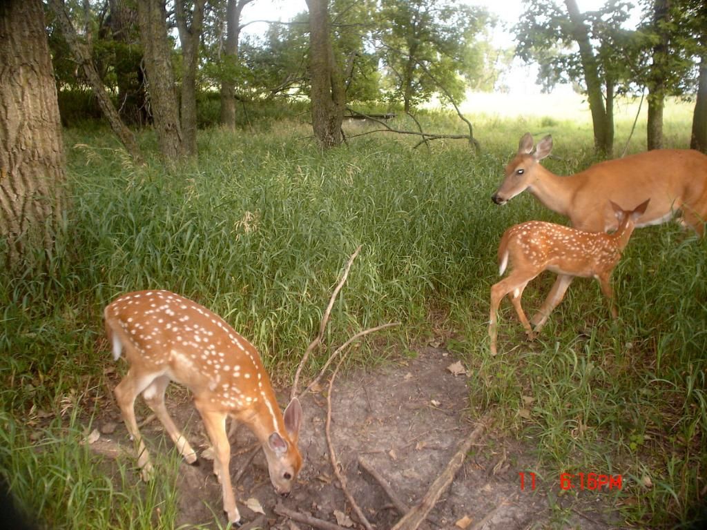 Terrys07-21-20128.jpg
