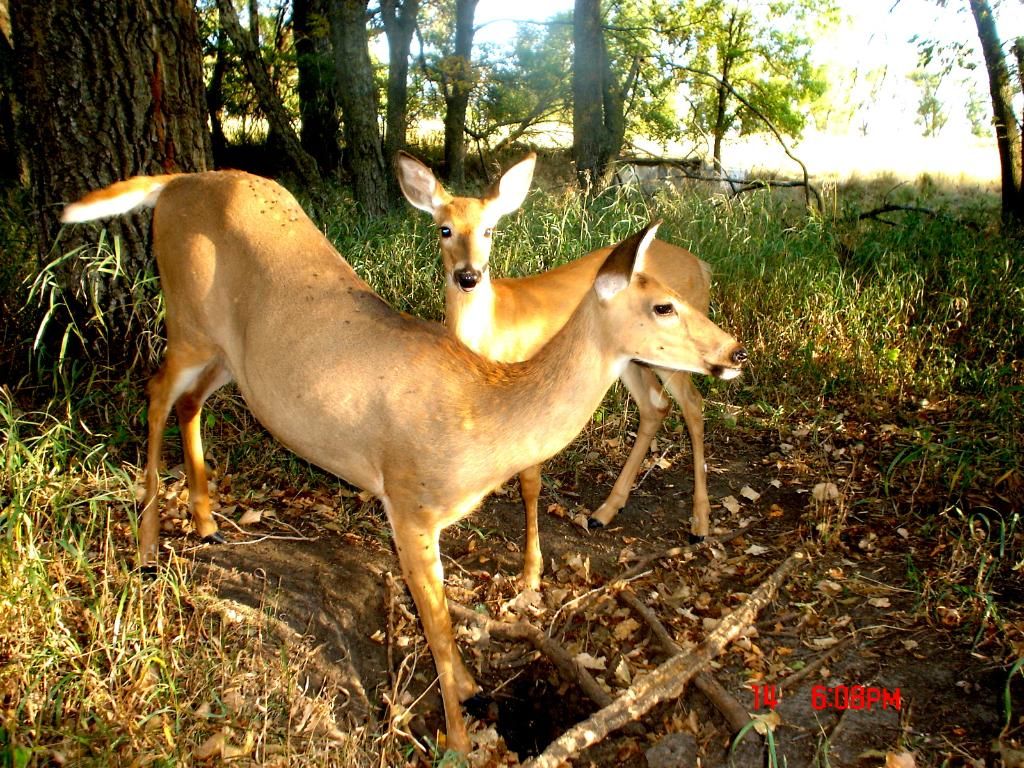 Terrys09-15-201255.jpg