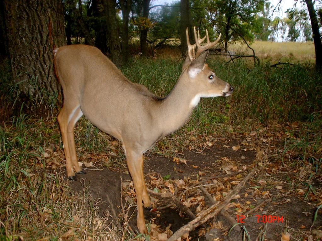 Terrys09-15-20127.jpg