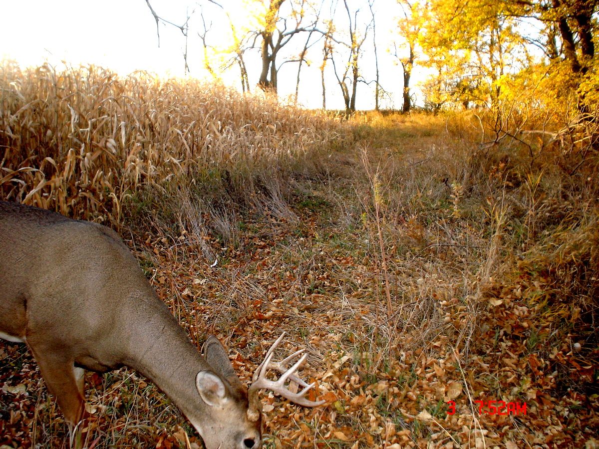 Terrys10-05-201218.jpg