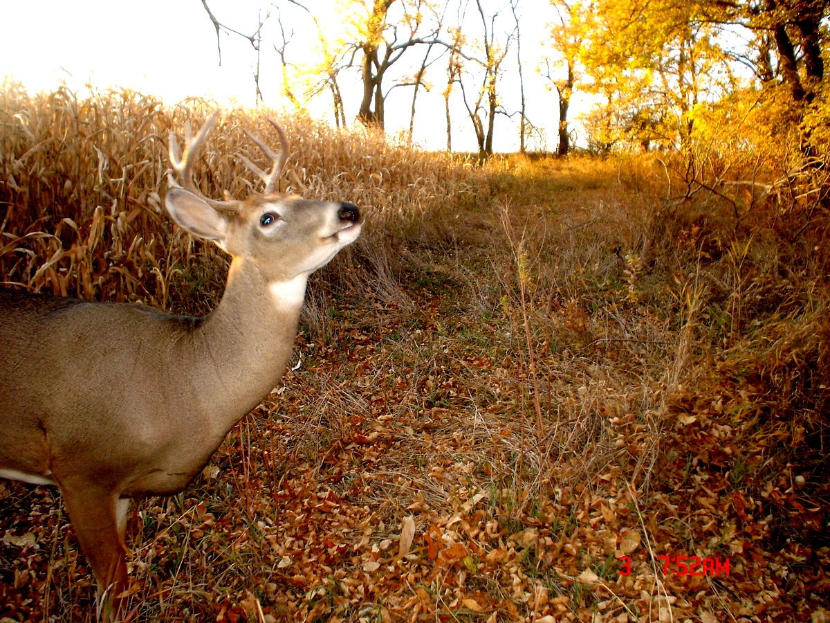 Terrys10-05-201219.jpg