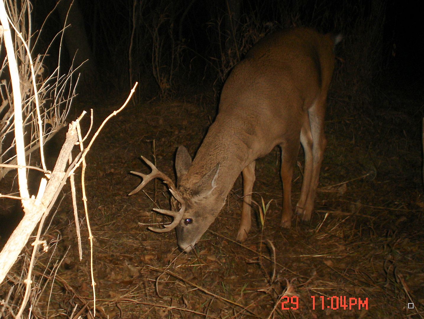 Terrys11-01-201221.jpg