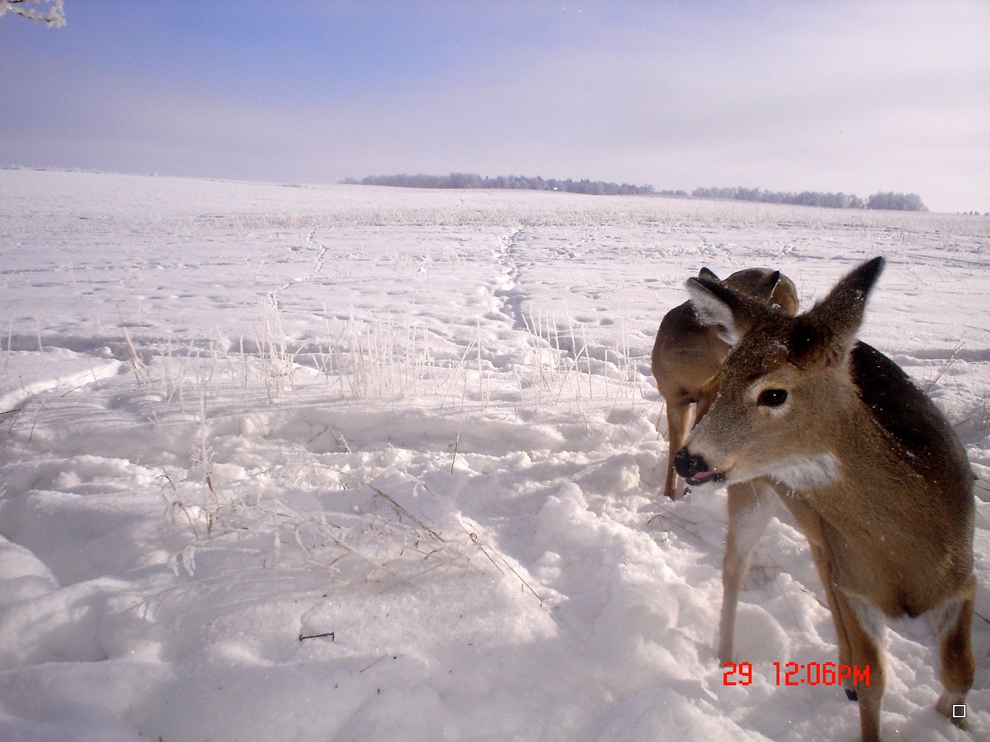Terryseast12-30-20126.jpg