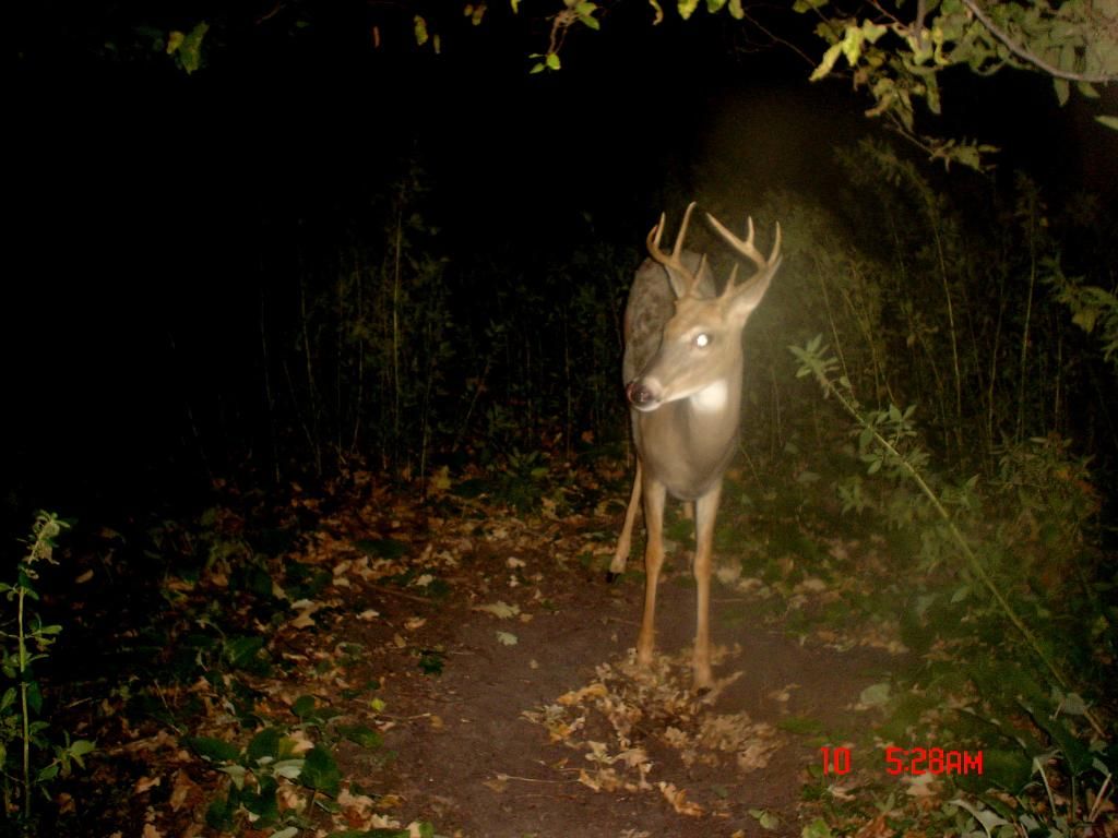 dewitts09-15-2012128.jpg