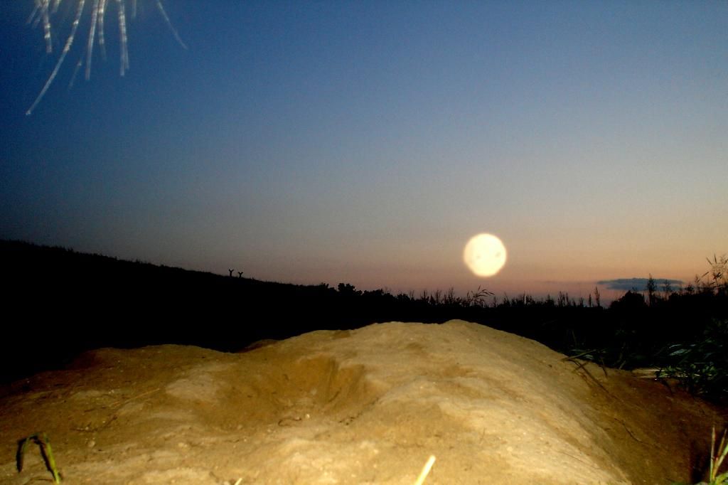 foxden06-01-201292.jpg