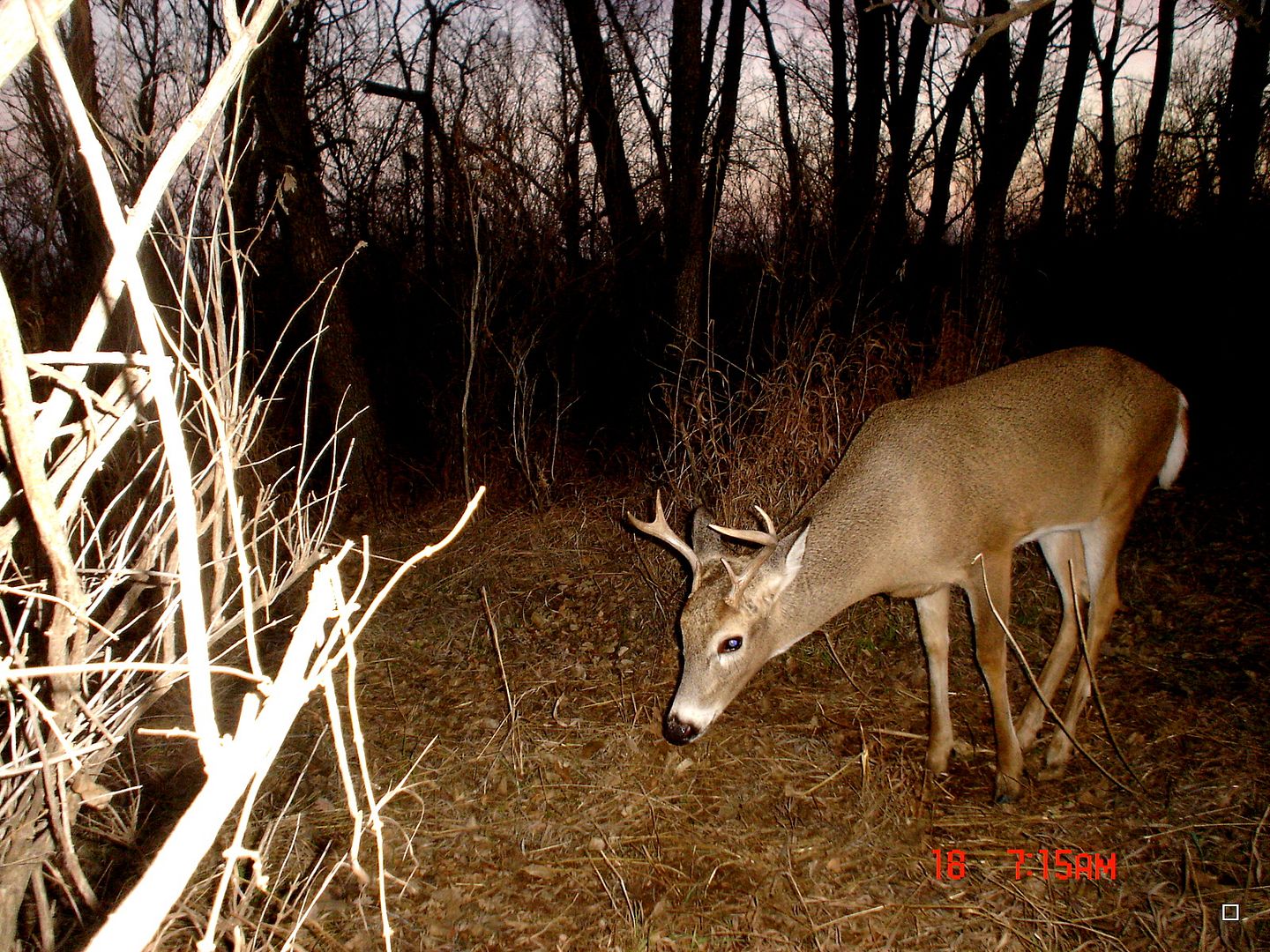 terrys11-17-201218.jpg