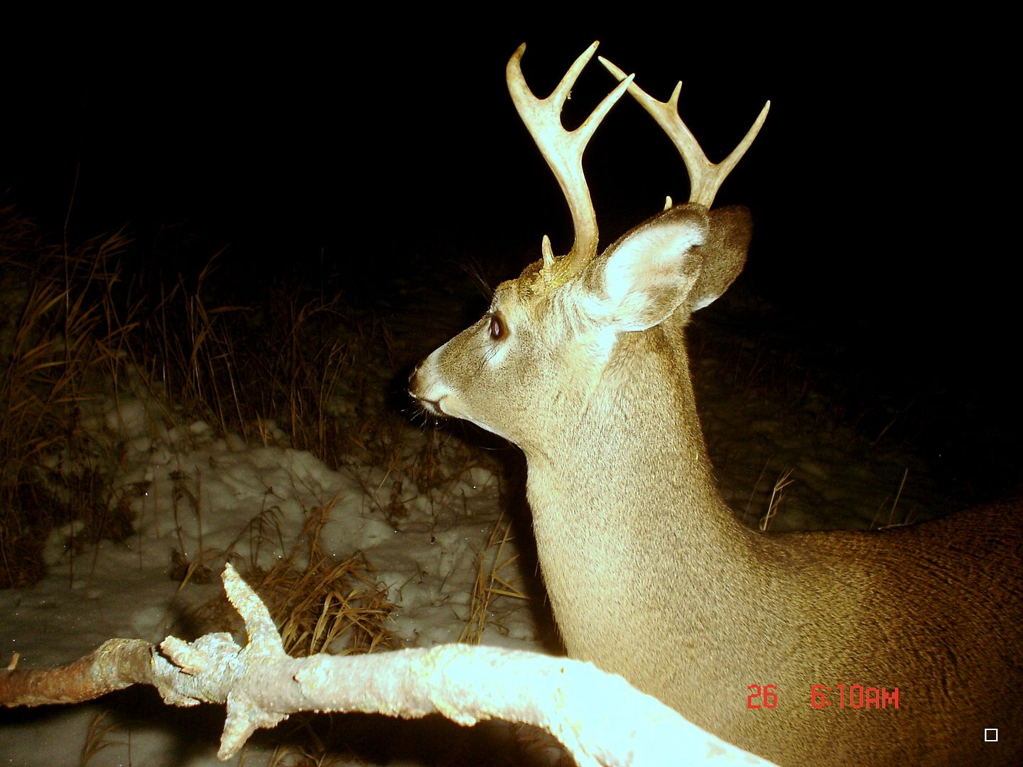 terrys11-17-20122.jpg