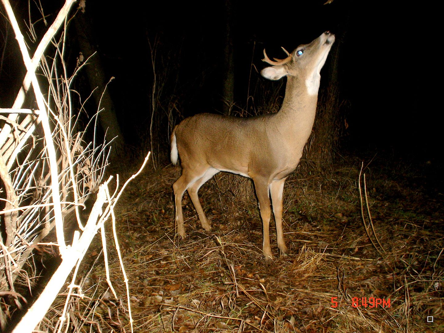 terrys11-17-20123.jpg