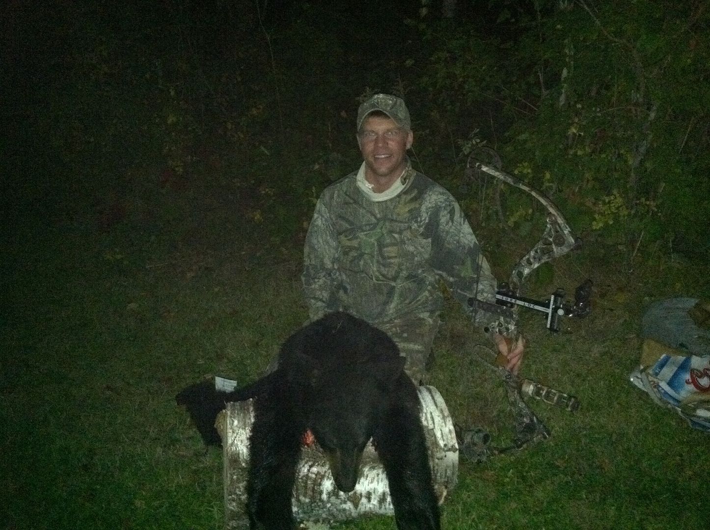 bear2012388.jpg