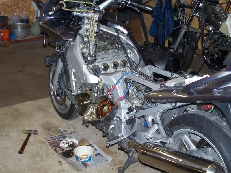 http://i120.photobucket.com/albums/o187/mxvet57/POSTING%20PICKS/100_1586.jpg