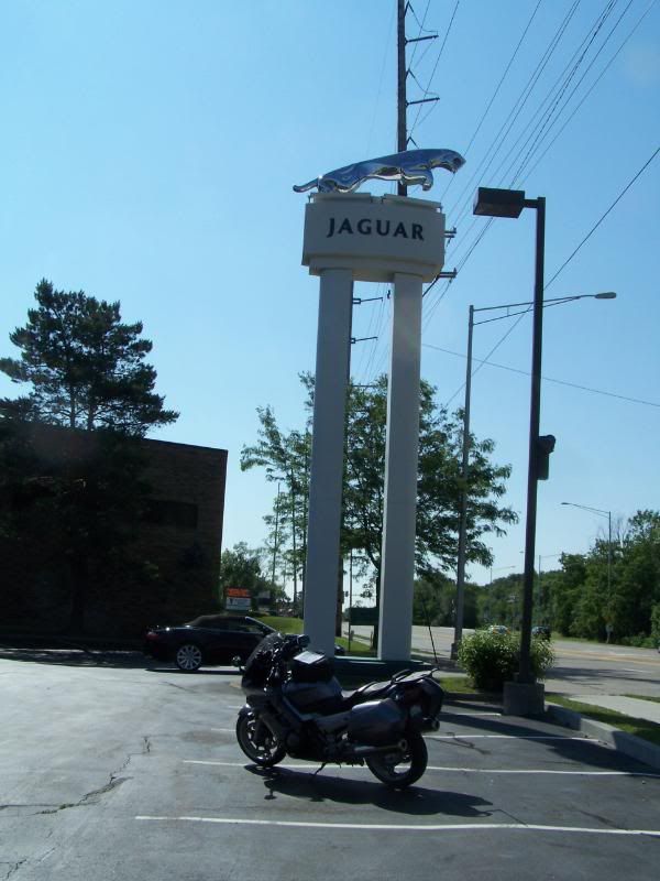 http://i120.photobucket.com/albums/o187/mxvet57/WILD%20CARD%20PHOTO%20TAG/100_4617.jpg