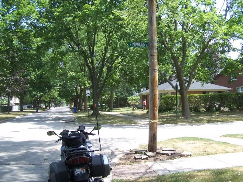 http://i120.photobucket.com/albums/o187/mxvet57/WILD%20CARD%20PHOTO%20TAG/100_5701.jpg