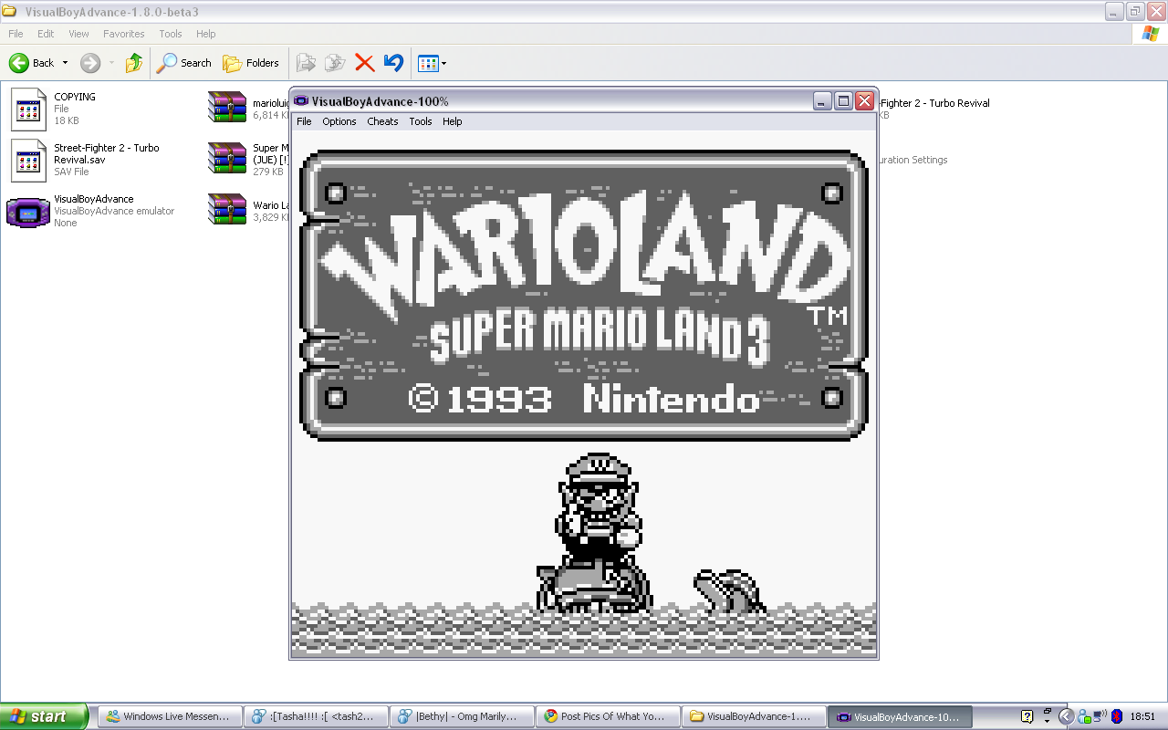 warioland-1.png