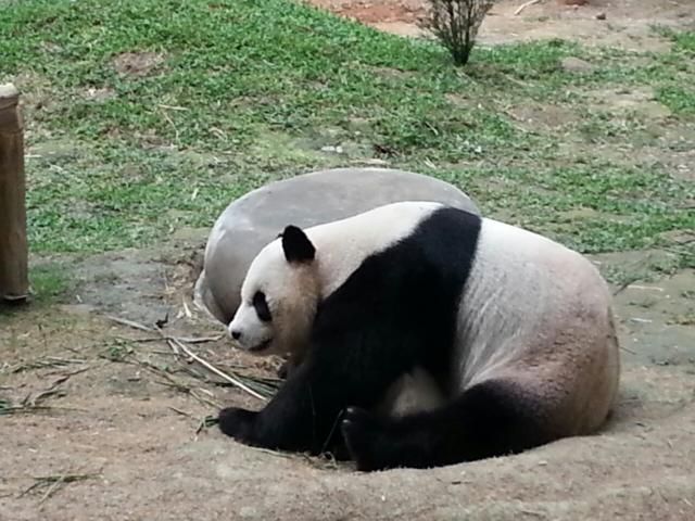  photo IMG-20140920-WA0032.jpg