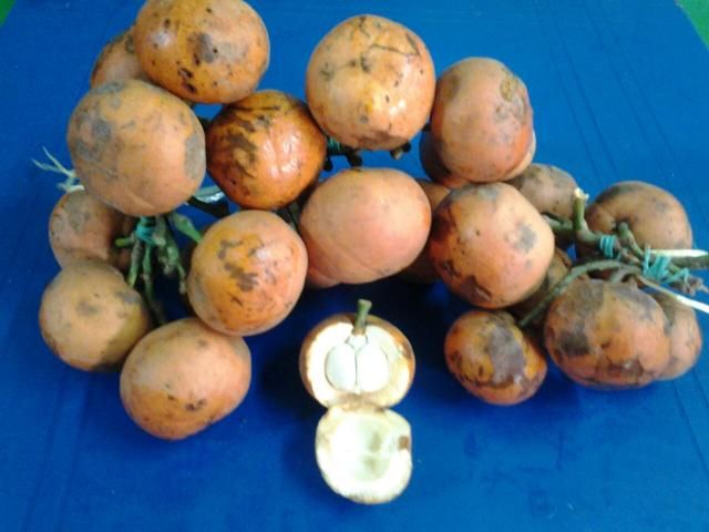  photo IMG-20140921-WA0006.jpg