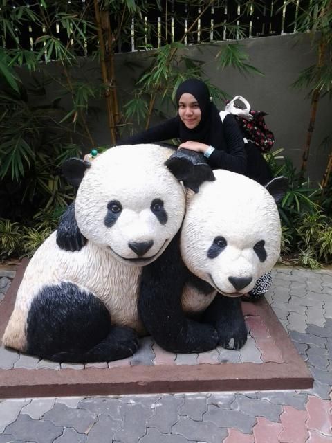  photo IMG-20141109-WA0047.jpg