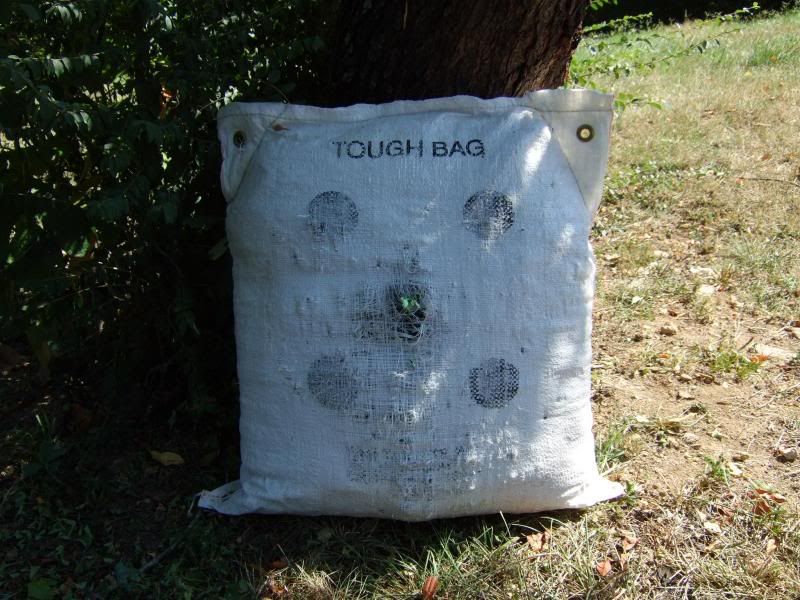 Airgun forum Scary Pellet Backstop