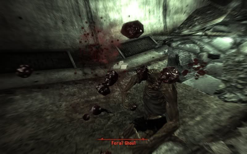 Fallout32008-10-2822-29-41-45.jpg