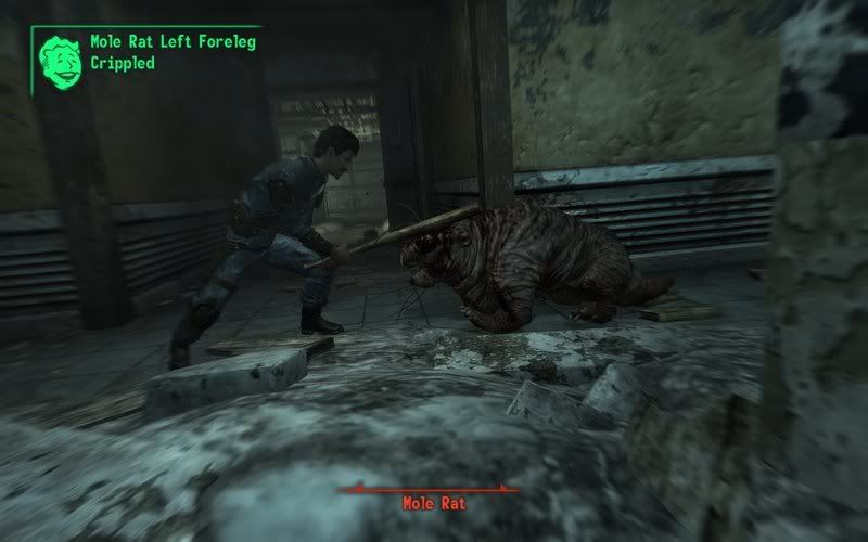 Fallout32008-10-2922-43-59-58.jpg