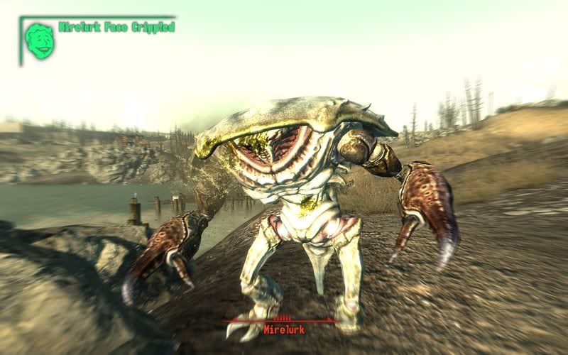 Fallout32008-11-0114-59-34-01.jpg