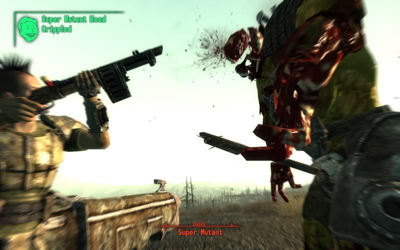 Fallout32008-11-0115-18-10-03.jpg