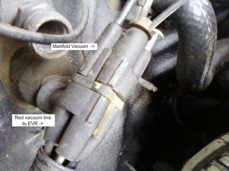 1989 Mustang GT Vacuum Lines Blocked Ford Mustang Forum