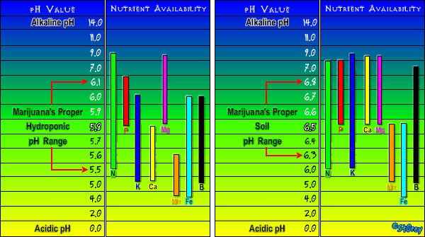 Nutrient_Chart.gif