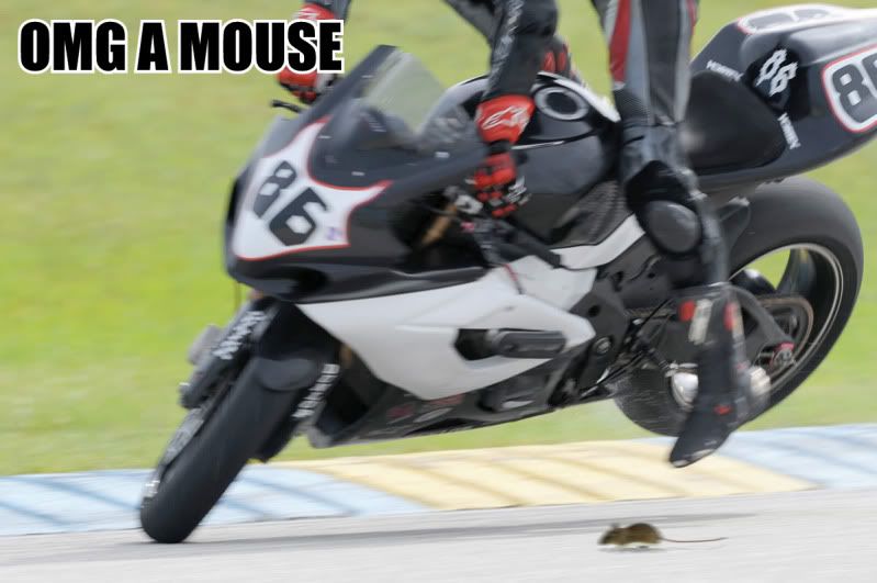 [Image: 086-30copy.jpg]