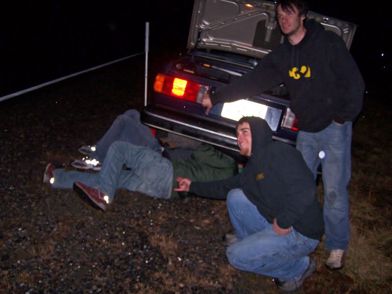 [Image: 100_0708.jpg]