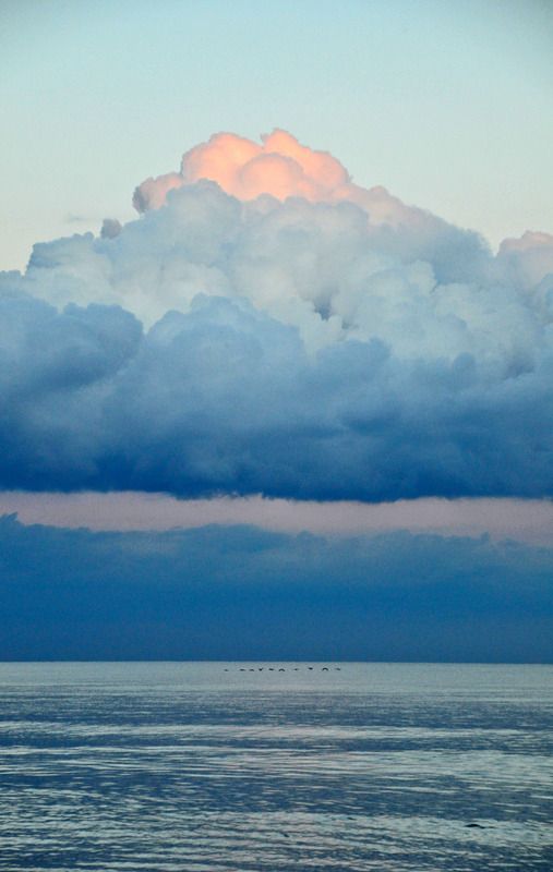 [Image: DSC_1602_zpsoc6pnhm2.jpg]