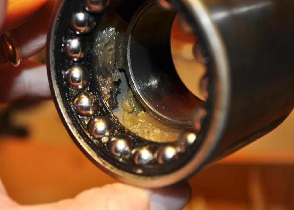 [Image: bearing002.jpg]