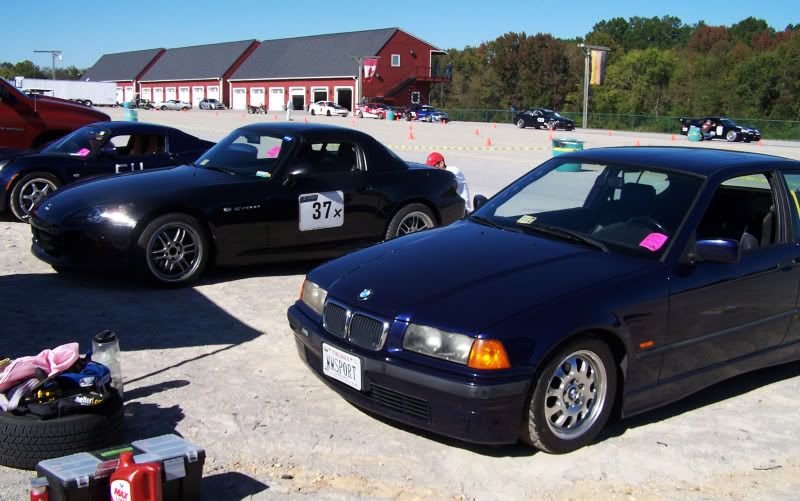 [Image: paddock.jpg]