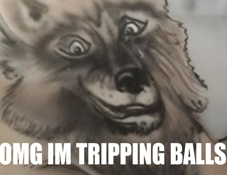 [Image: tmytyZt5uxKvXhIqlbsDx3qG5ew_W1sI4f8Clhsx...i1r3ji.jpg]