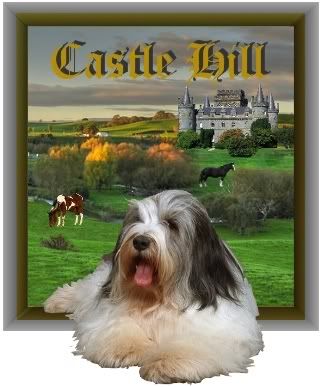DragonHeart of Castle Hill