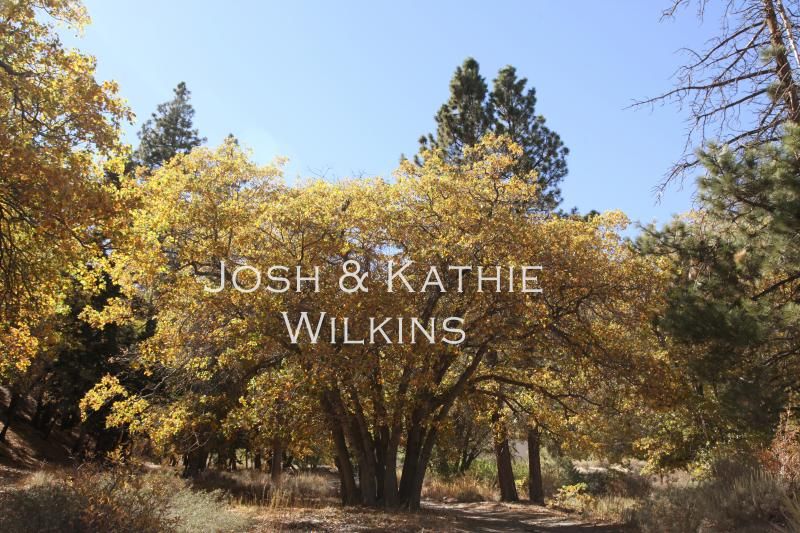 photo joshandkathie.jpg