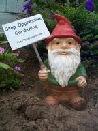 Protes Gnome
