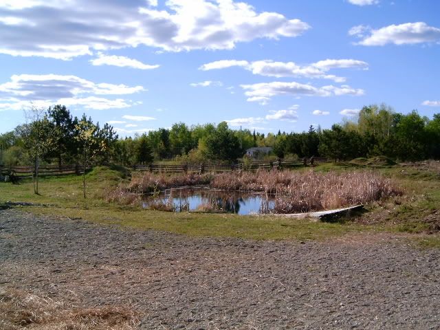 Farm pond - Homesteading Questions