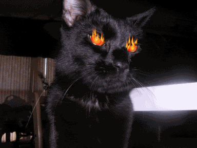 devilcat.gif