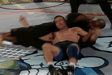 http://i120.photobucket.com/albums/o198/fedorpwn666/Gifs/elbow.gif