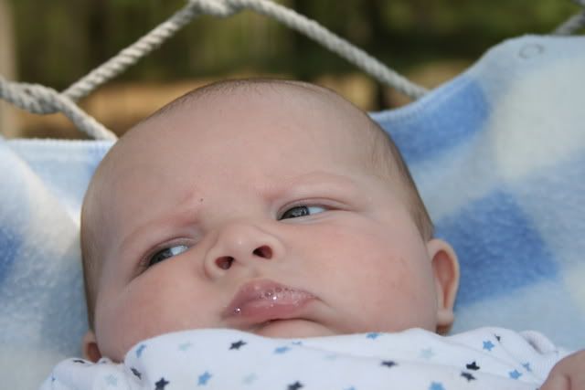 IMAGE: http://i120.photobucket.com/albums/o199/lojodo/IMG_6777.jpg