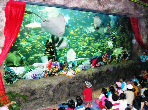 giant aquarium
