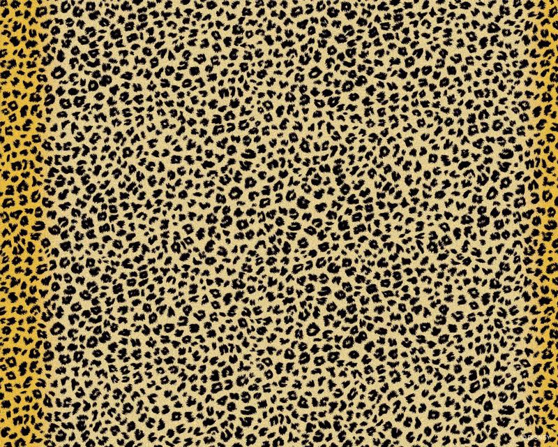 cheetah print screensaver