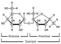sucrose structure