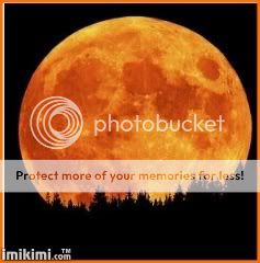 MOON Pictures, Images and Photos