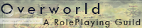 Overworld: Role Playing Guild banner