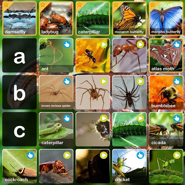 ABC Bugs App | Cool Mom Tech