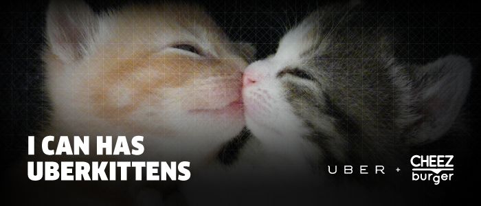 Kittens and cupcakes on National Cat Day via Uber | Cool Mom Picks