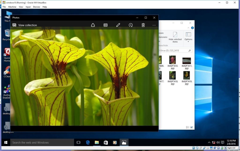 windows raw photo resizing programs